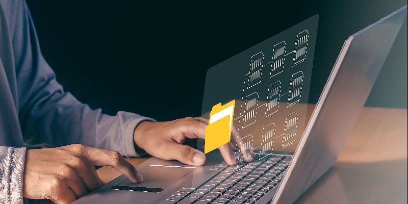 CimpactPro Corp: Veri Girişi Kapsamı