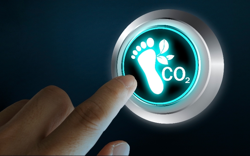 Legal and Institutional Forces Behind the Demand for Carbon Data: Why Do We 