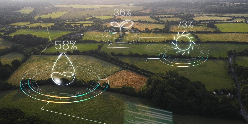 Karbon Yönetimiyle Bütçede 3 Kazanç Alanı