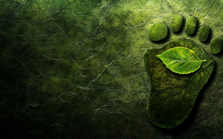 Sera Etkisine Neden Olan Gazlar Nelerdir?