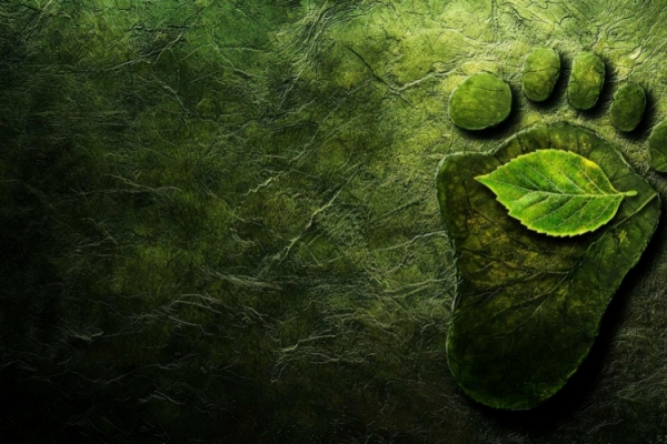 Sera Etkisine Neden Olan Gazlar Nelerdir?