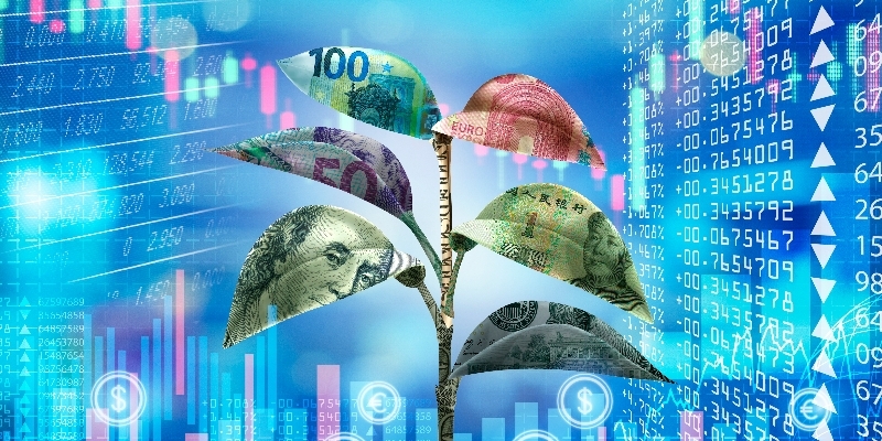 How to Report on Climate Risks According to the TCFD Framework?