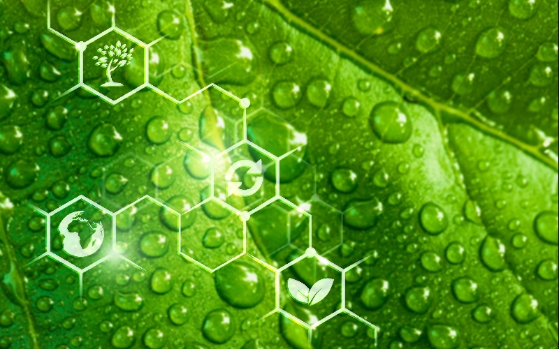 What is Green Hydrogen? How Is It Produced and How Will It Shape the Energy Future?